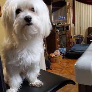 Meet your Posher, Stacey